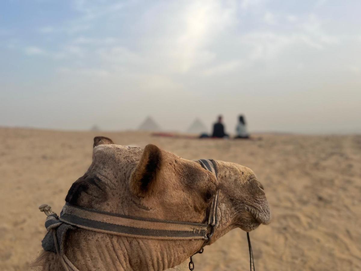 Pyramids Top Success Result Kafret el-Gabal Buitenkant foto
