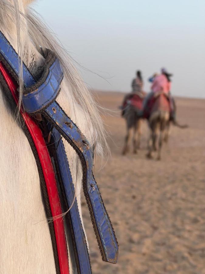 Pyramids Top Success Result Kafret el-Gabal Buitenkant foto